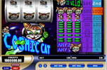 cosmic cat cosmic cat