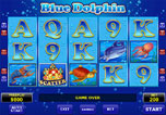 blue dolphin blue dolphin
