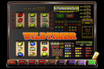 wild timer wild timer