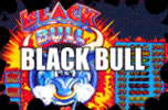 BlackBull casino slot